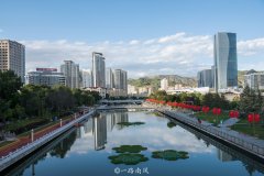 河源市白蚁防治协会